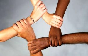 no razzismo