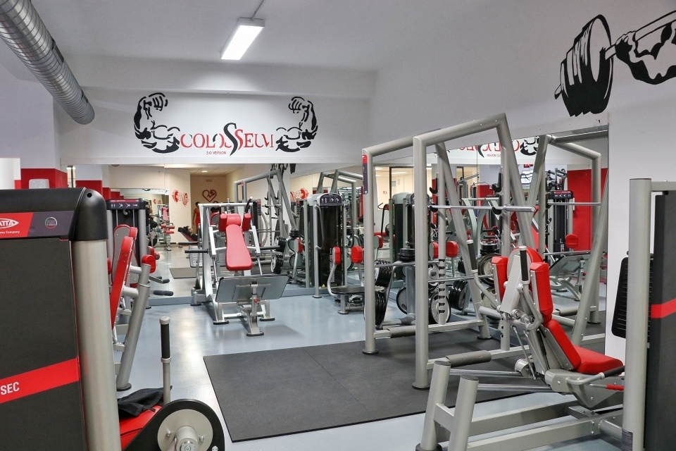 palestra colosseum
