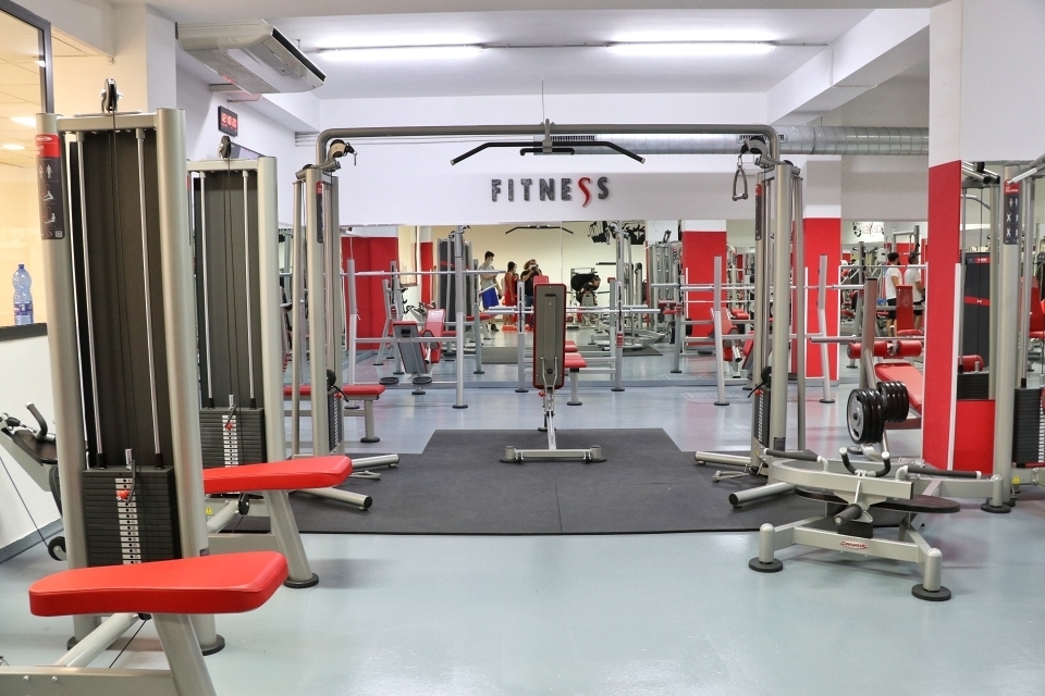 palestra colosseum