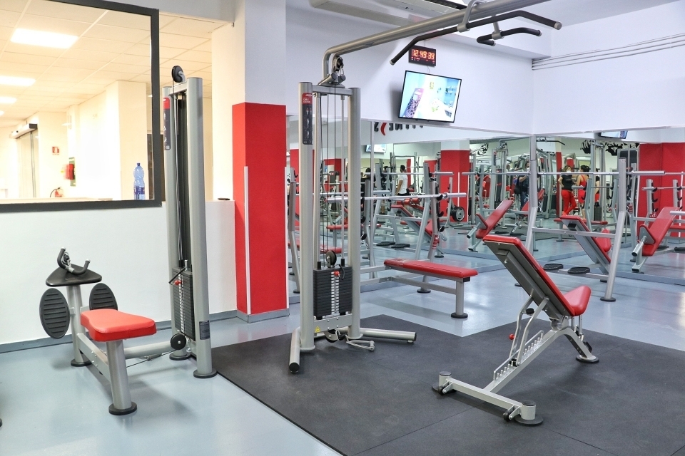 palestra colosseum