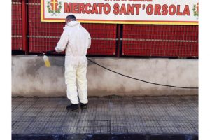 Disinfestazione messina