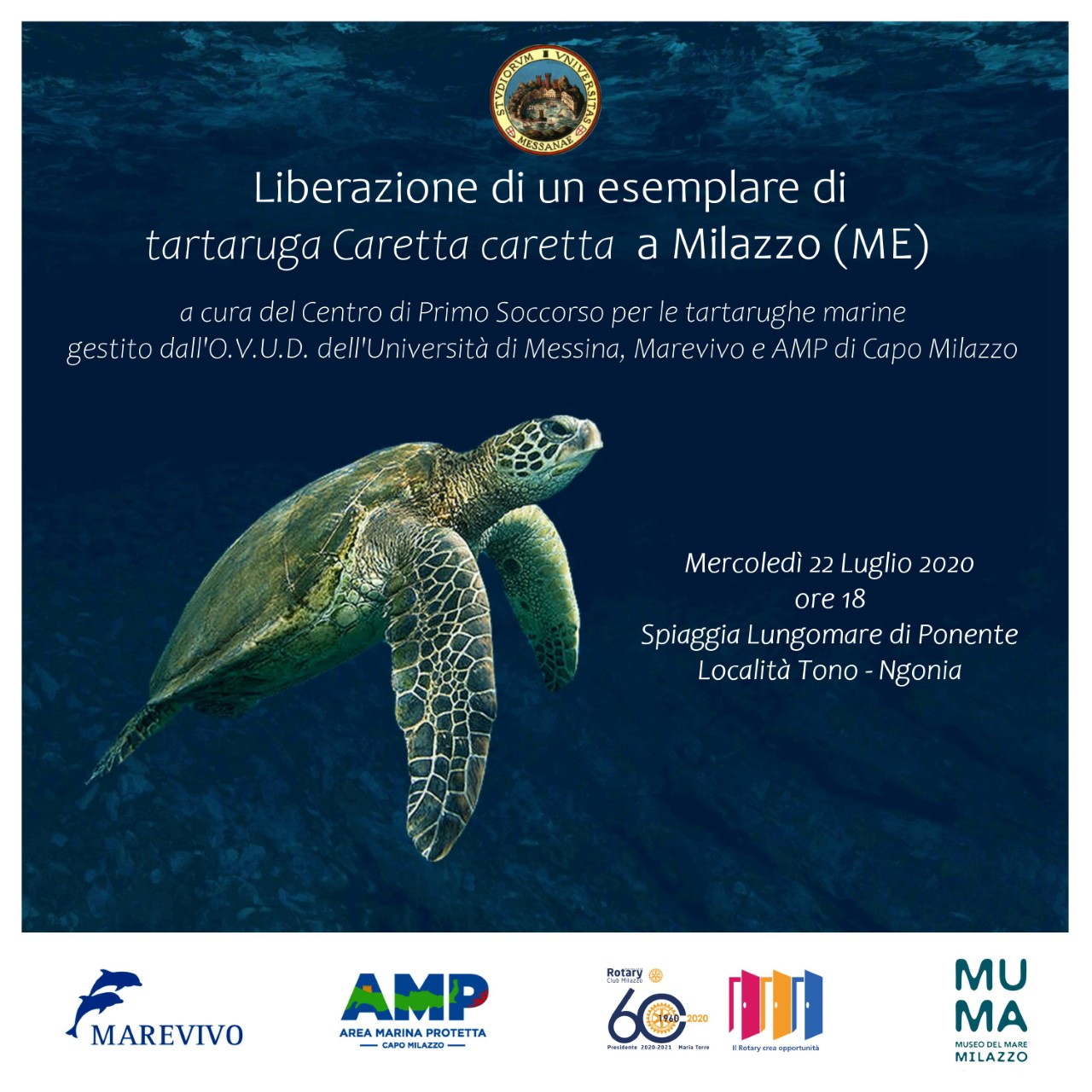 Locandina liberazione tartaruga