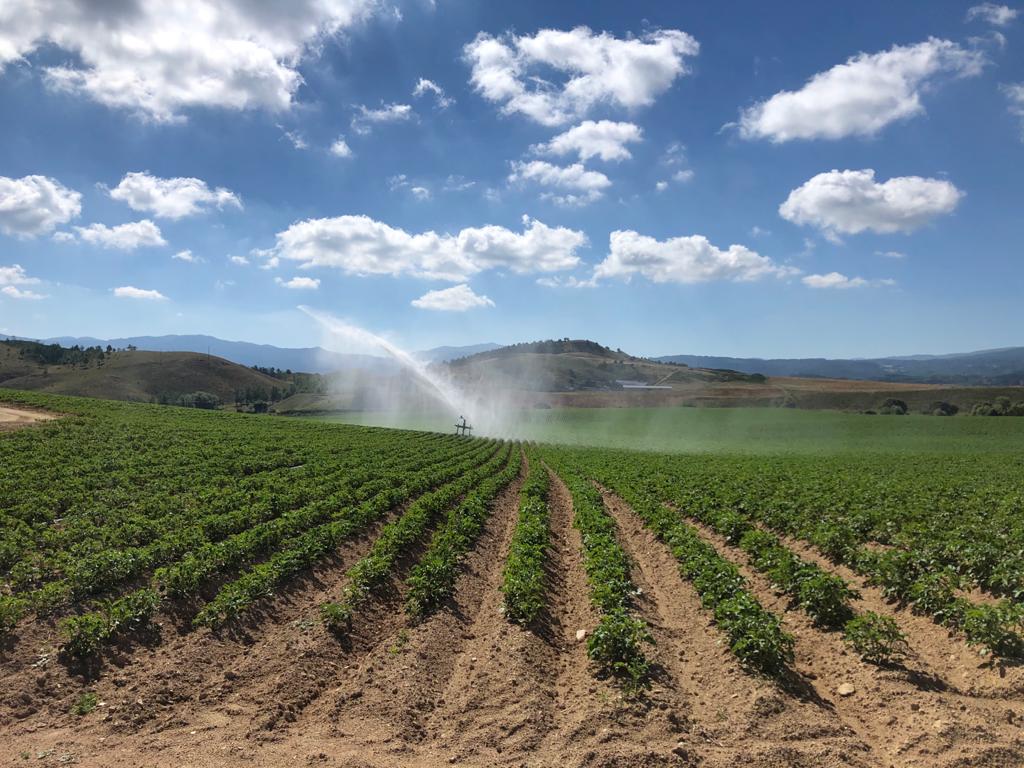 agricoltura (1)