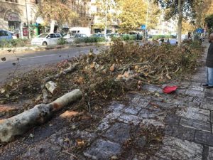 danni maltempo messina