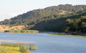 parco dei nebrodi