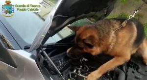 reggio calabria operazione cargo bianco