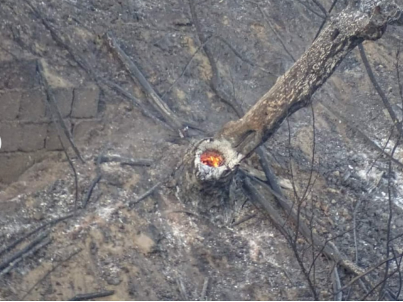 Incendio Bisignano