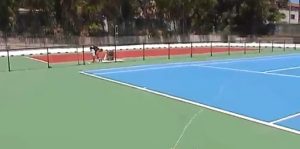 campi tennis villa dante messina