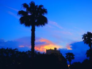 Tropea