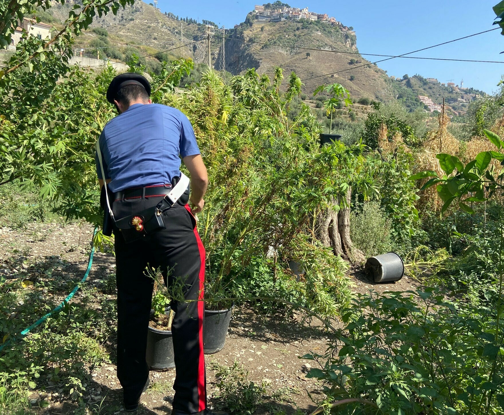 Arresto marijuana messina