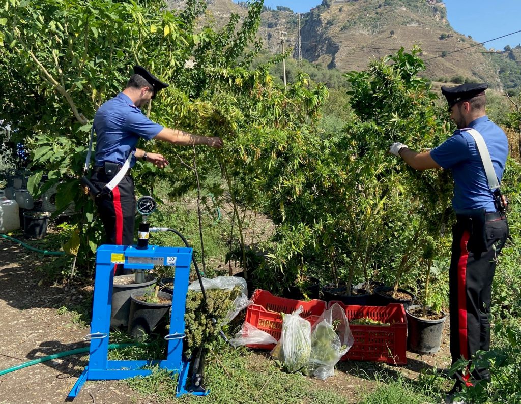 Arresto marijuana messina