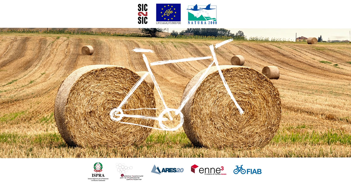Sic2Sic sicilia