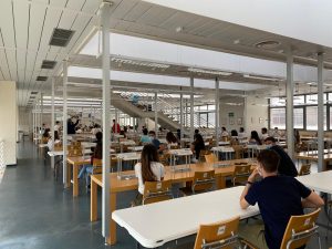 Test medicina messina