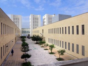 Università mediterranea