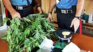 marijuana