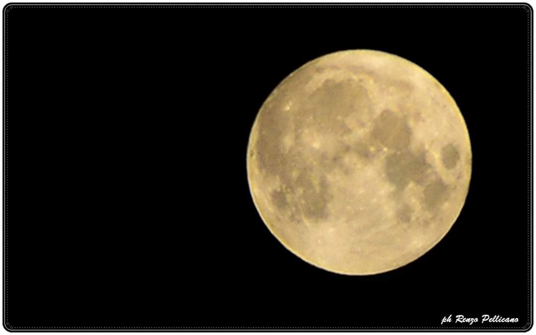 luna (1)