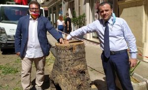 potatra via camiciotti