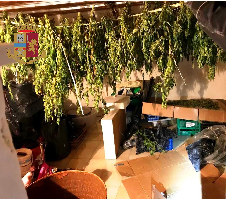 8 chili marijuana santa lucia sopra contesse messina