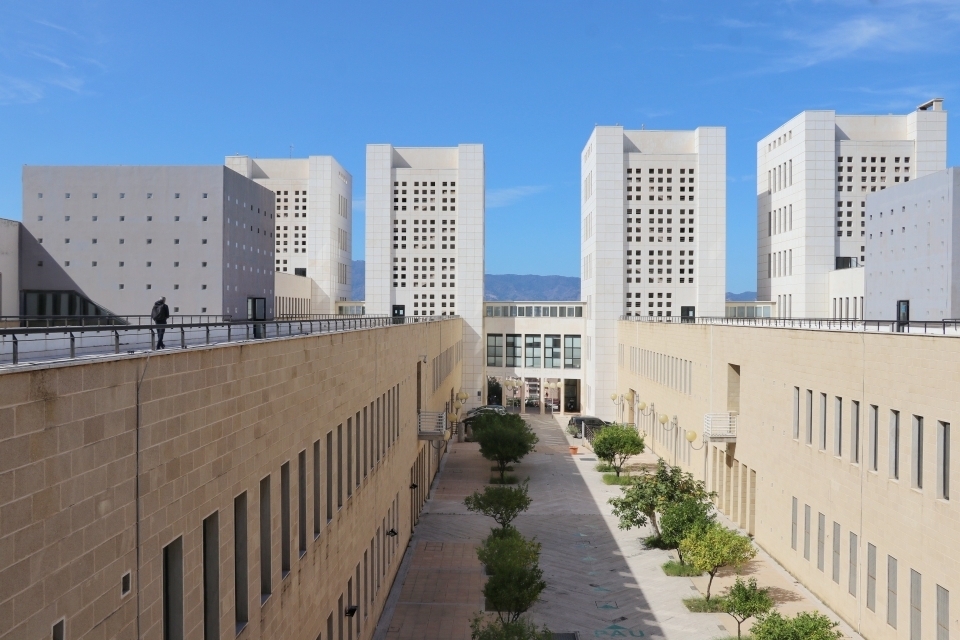Architettura Università Mediterranea 1