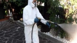 Disinfestazione messina