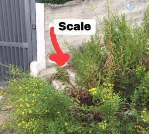 Strada scuola faro superiore (7)