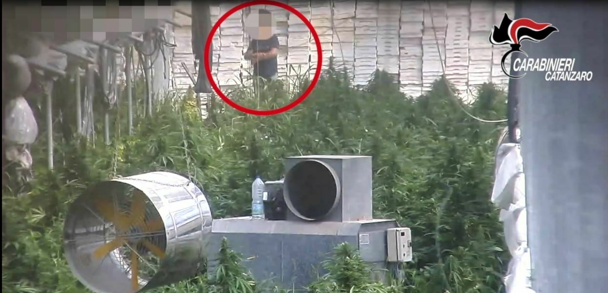 carabinieri catanzaro droga