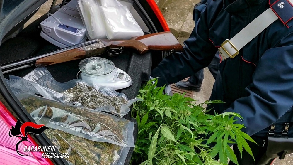marijuana bovalino