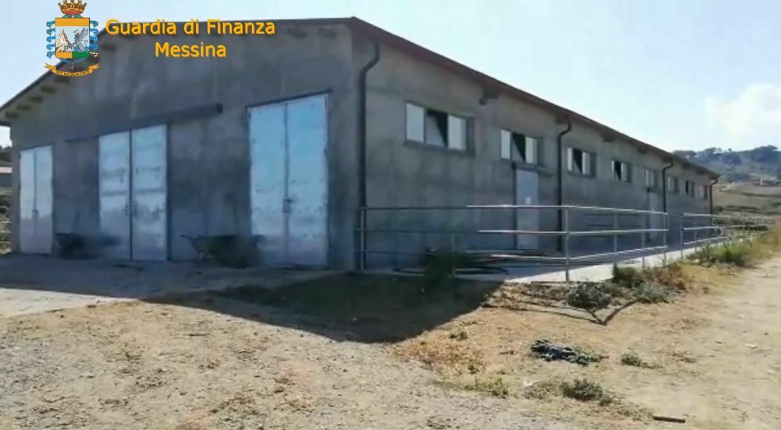 messina truffa nebrodi