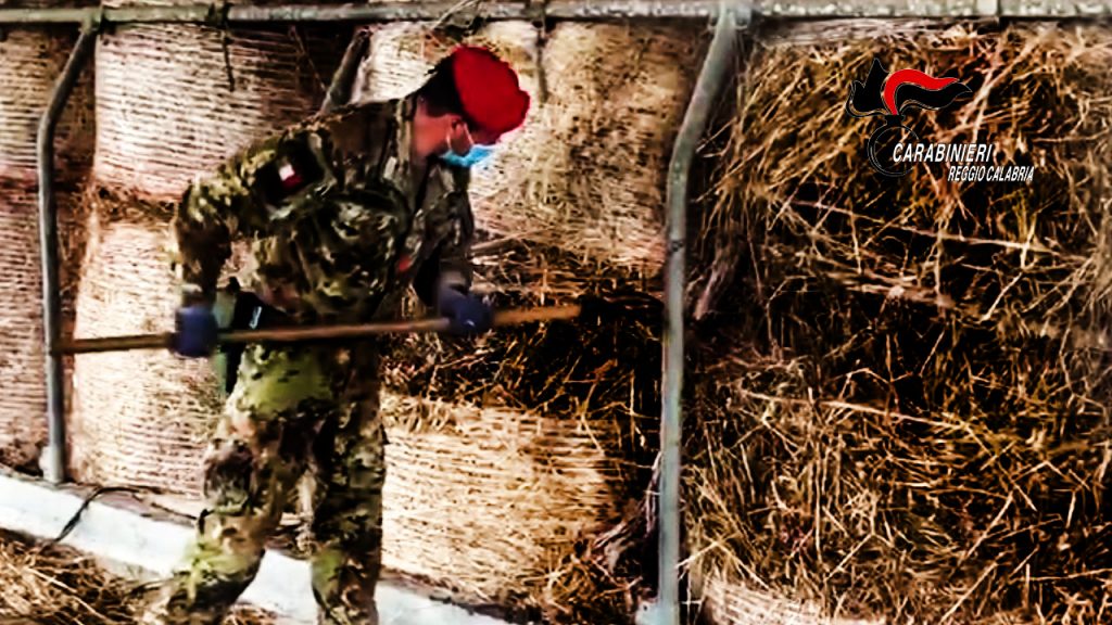 reggio calabria arsenale stalla bianco