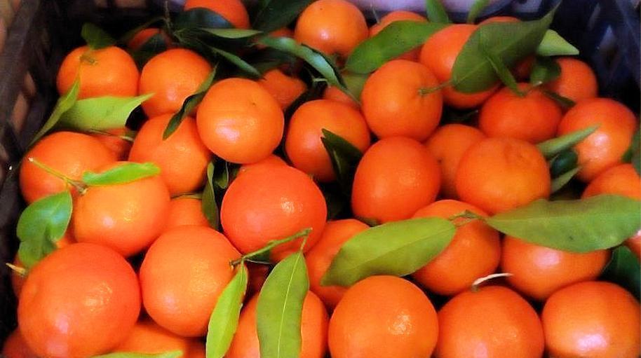 Clementine IGP Calabria