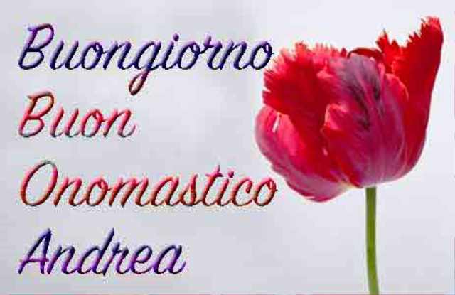 auguri andrea