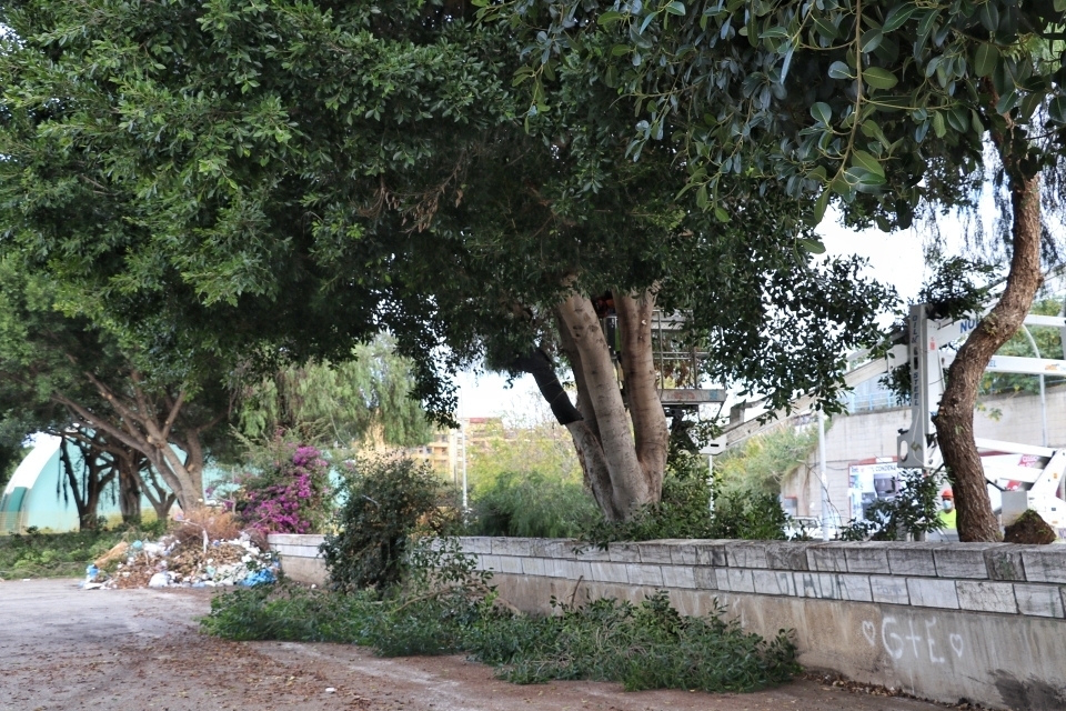 reggio calabria piazzale pentimele