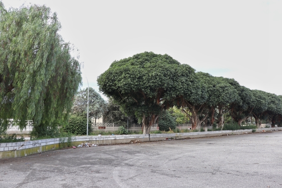 reggio calabria piazzale pentimele