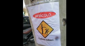 cartello pericolo caduta alberi reggio calabria