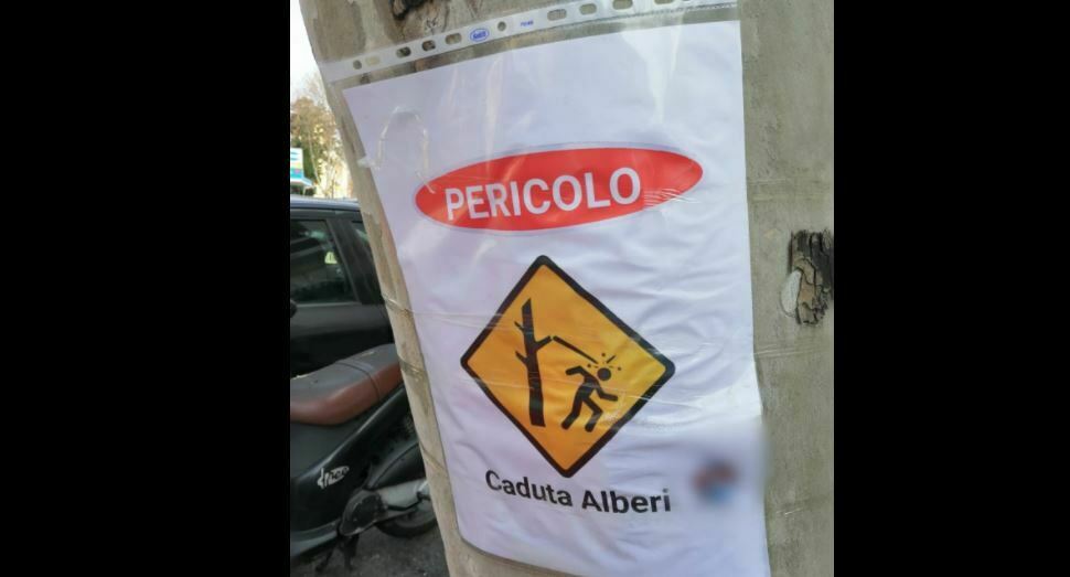 cartello pericolo caduta alberi reggio calabria