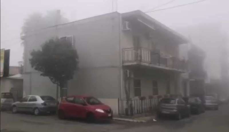 nebbia gallina