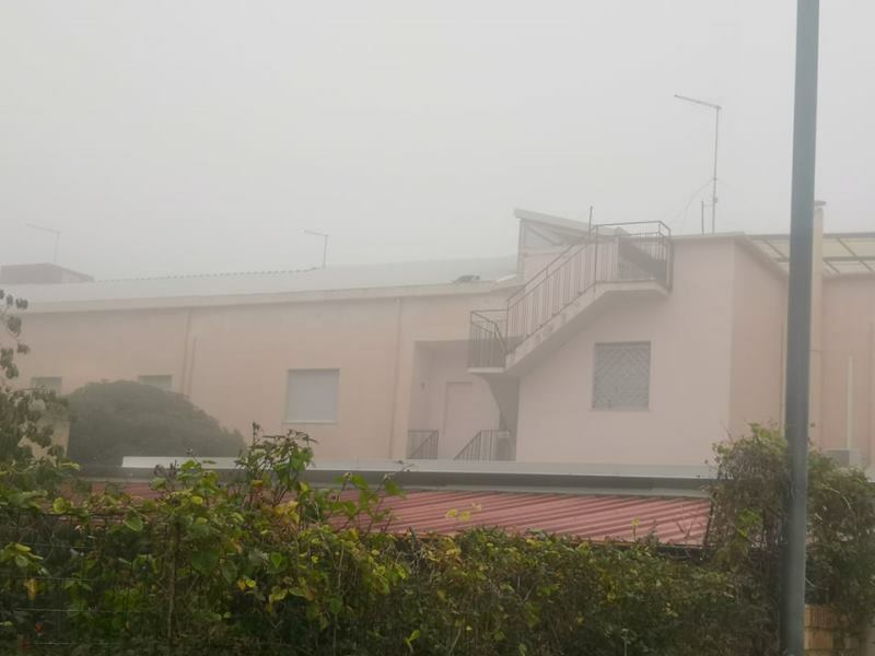 nebbia gallina