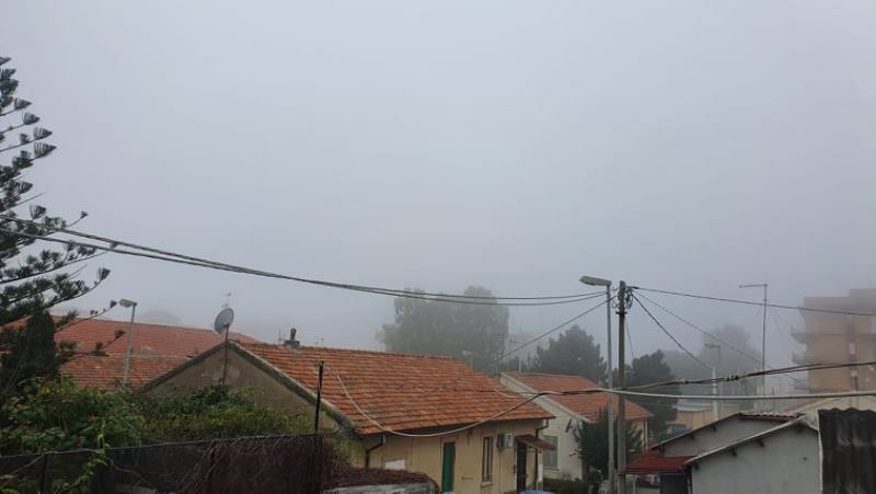 nebbia gallina