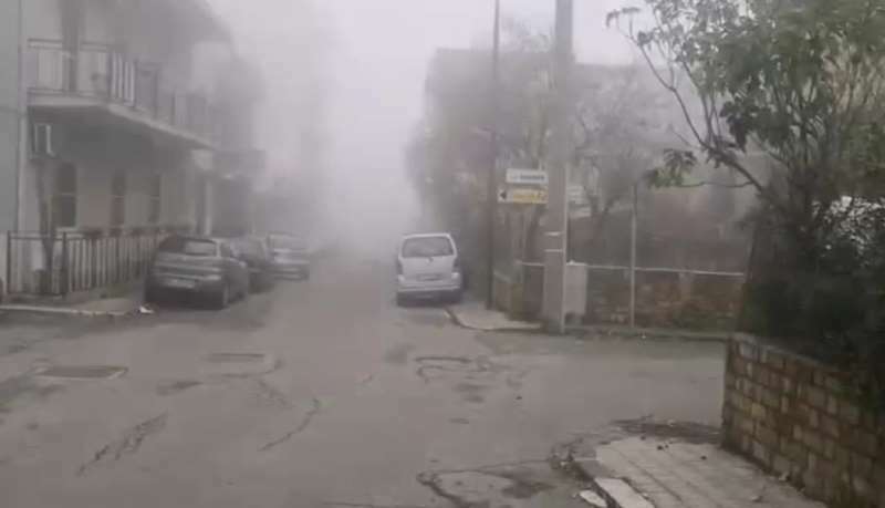 nebbia gallina