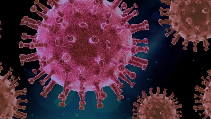 anticorpi monoclonali coronavirus