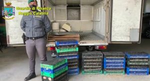 reggio calabria sequestro specie protette