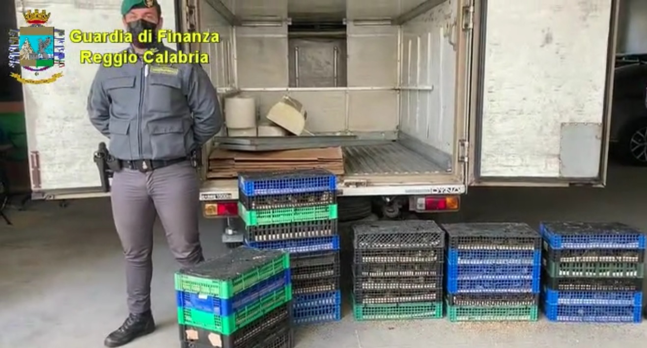 reggio calabria sequestro specie protette