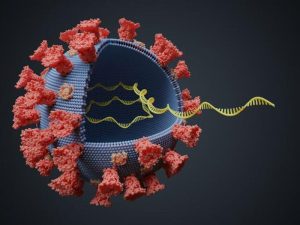 Coronavirus