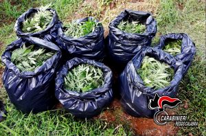 reggio calabria arresti droga operazione dioniso