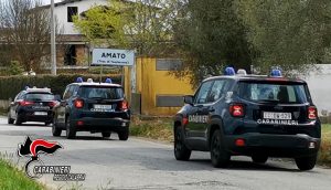 reggio calabria arresti droga operazione dioniso (2)
