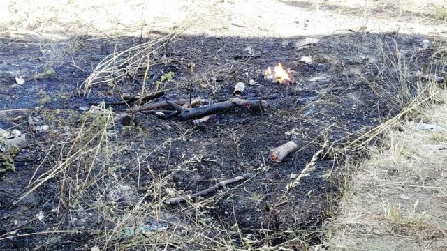 Incendio sterpaglie reggio calabria