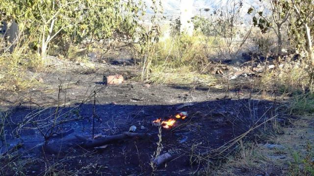 Incendio sterpaglie reggio calabria