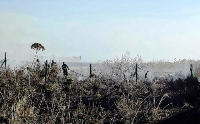 Incendio sterpaglie reggio calabria