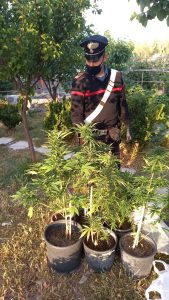 messina arresti taormina droga