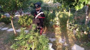 messina arresti taormina droga